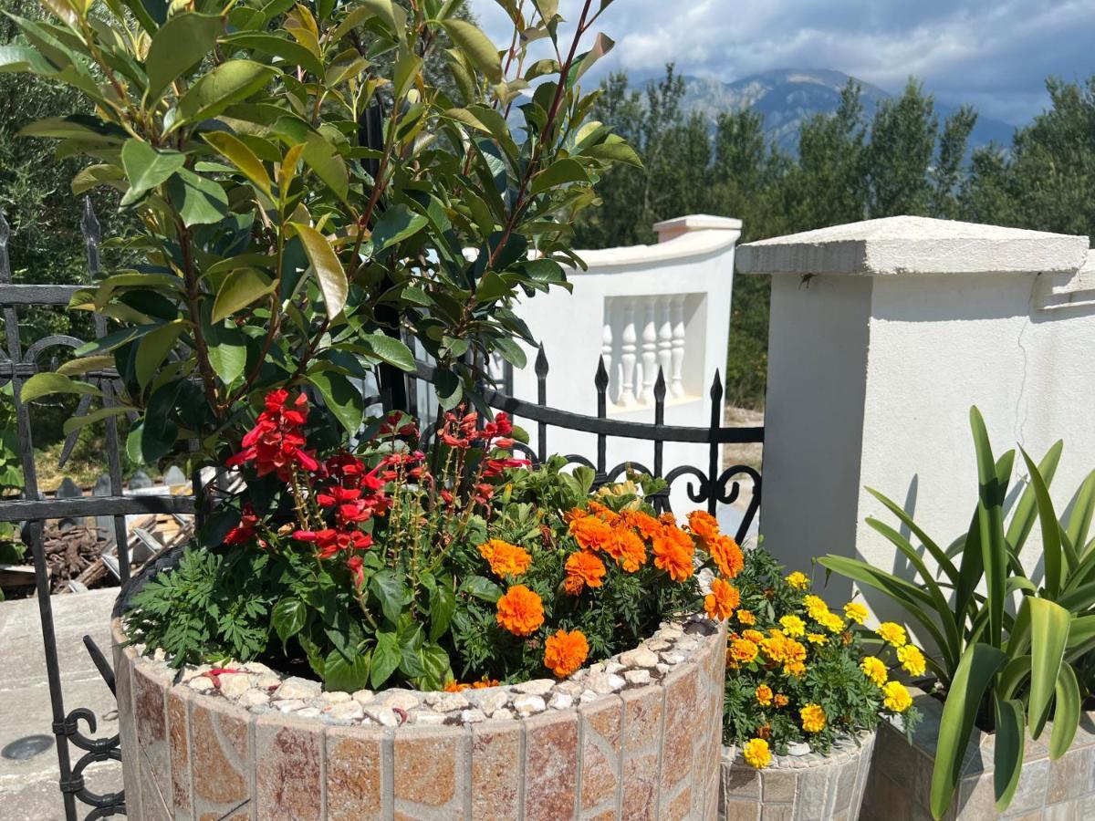 Netho Apartments Brda Mrcevac 外观 照片